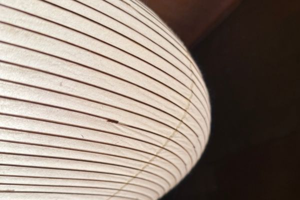 電気デザイン